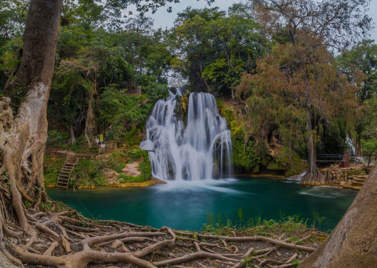 Cascadas de Tamasopo — paisaje emblemático de la ruta por la Huasteca Potosina