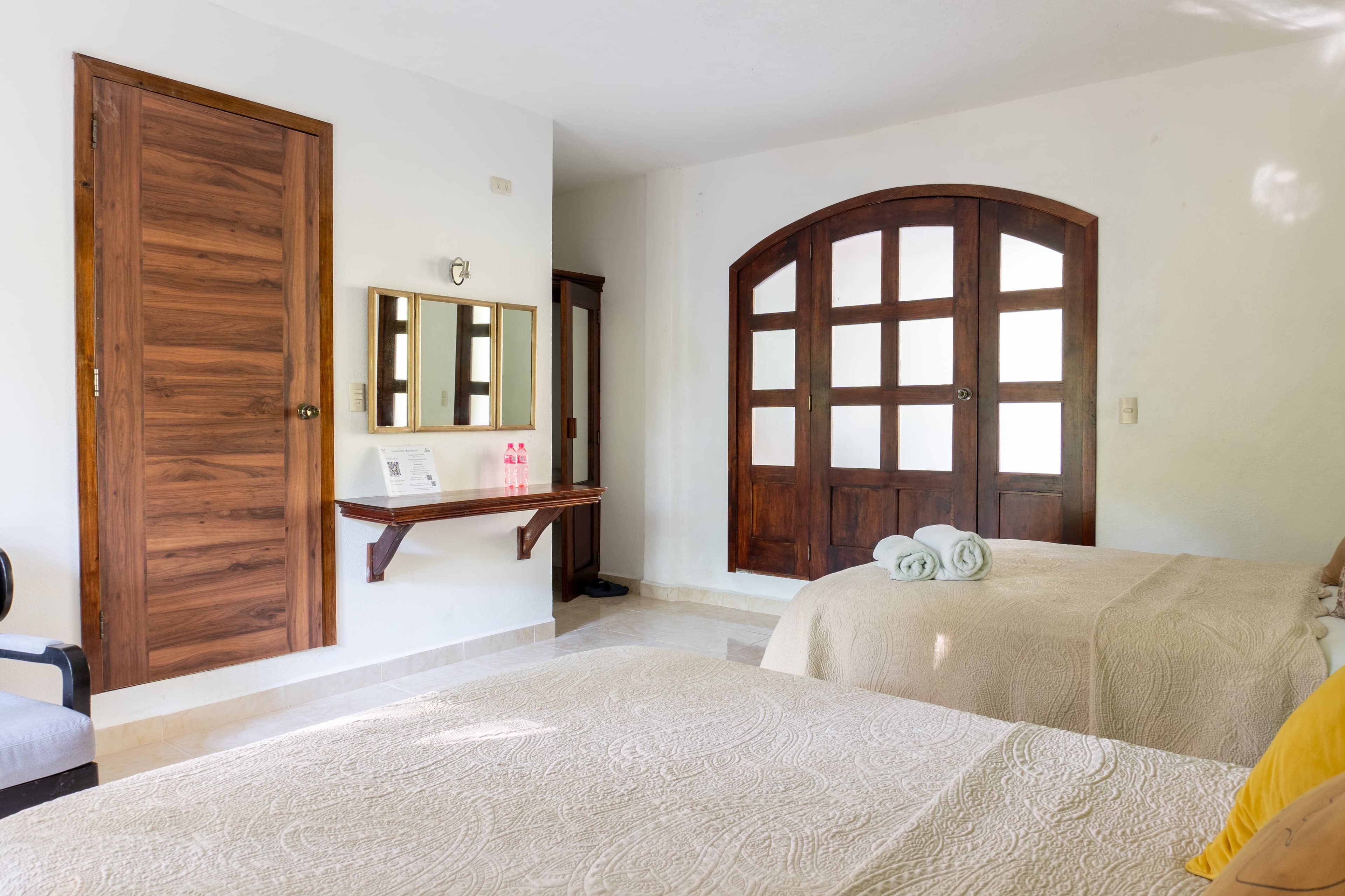 Bromelias — Paraíso Encantado