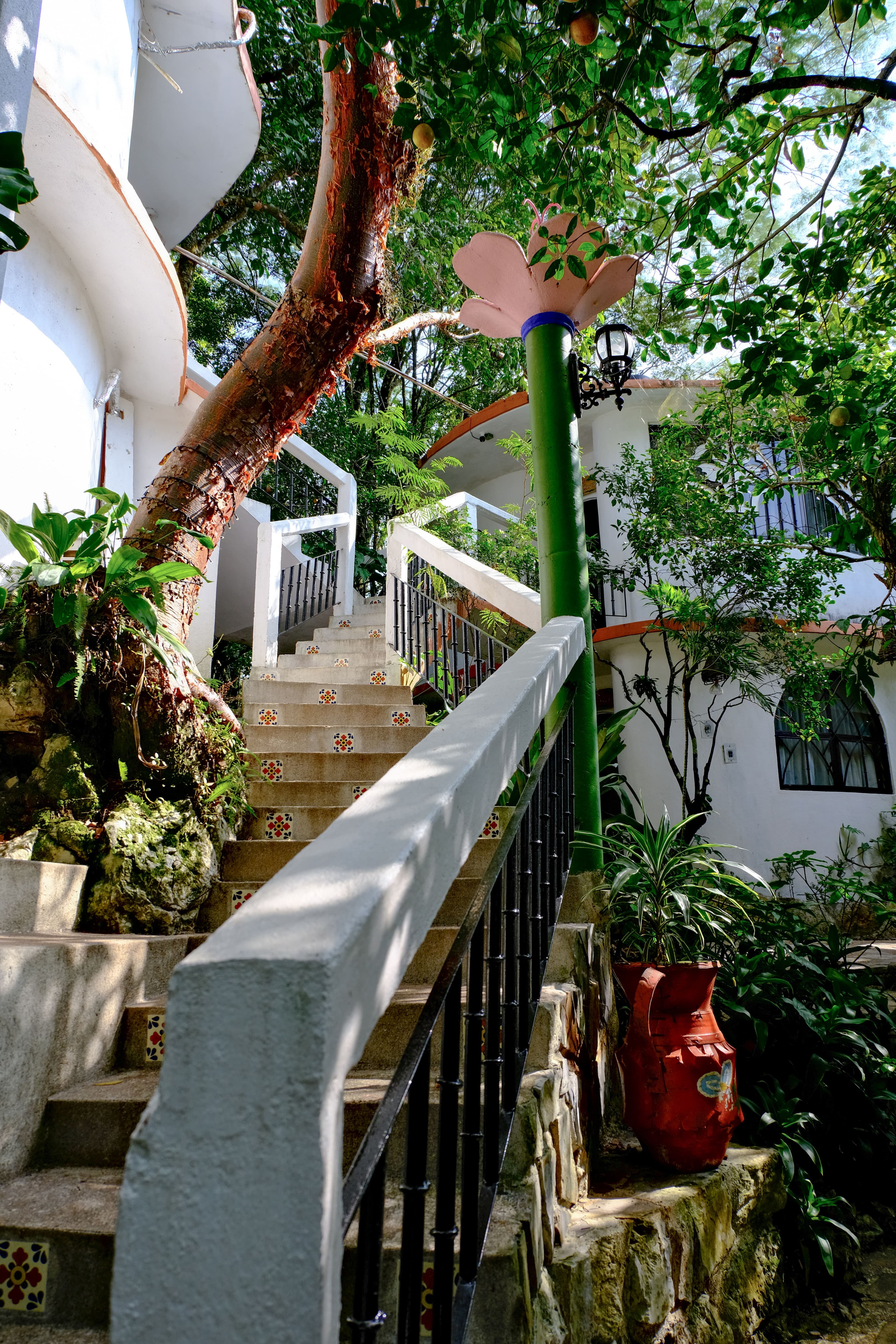 Suite Flor de Lis 2 foto 3