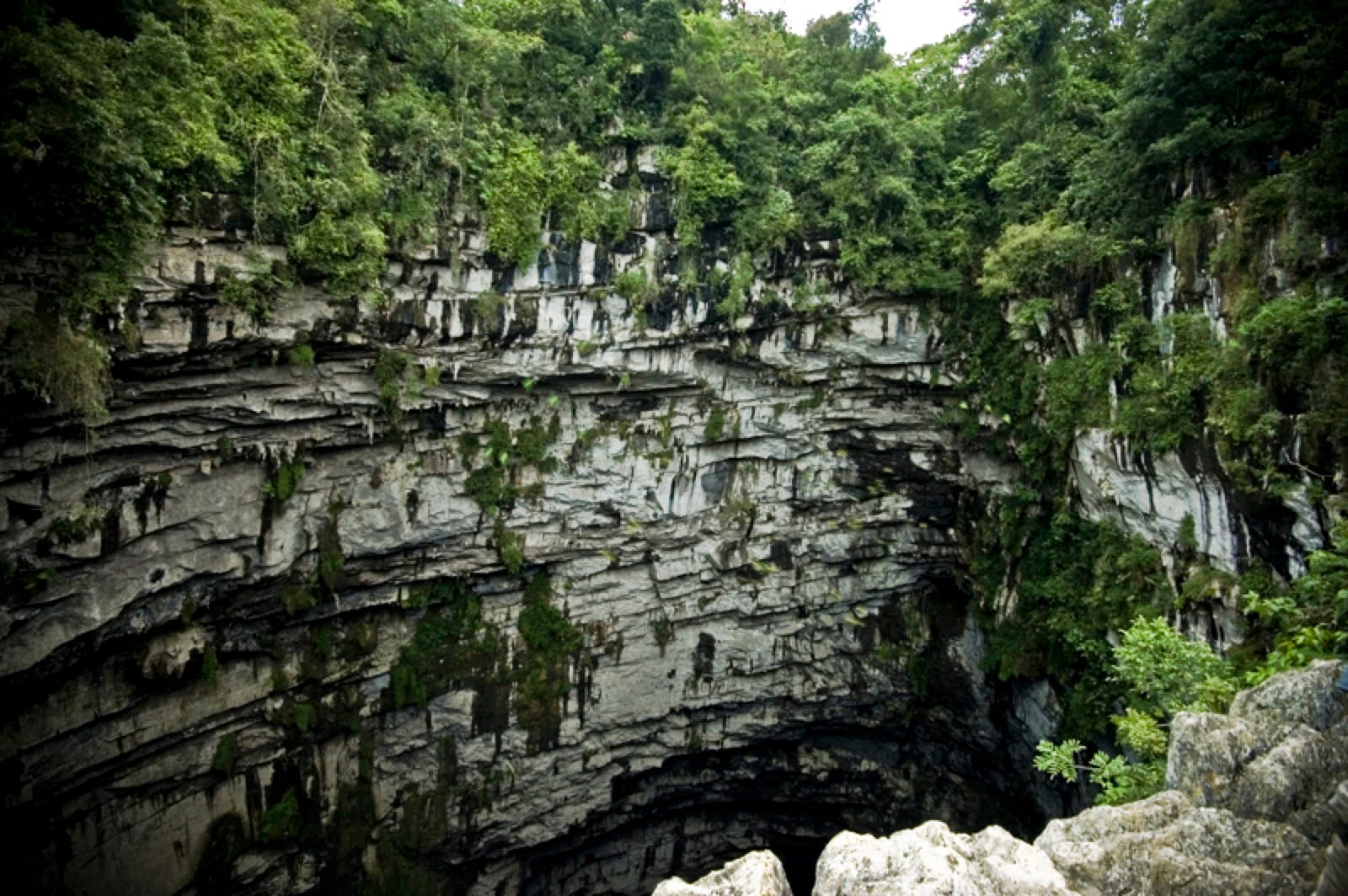 Sótano de las Golondrinas — abismo de 376 metros en Aquismón, Huasteca Potosina